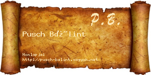 Pusch Bálint névjegykártya